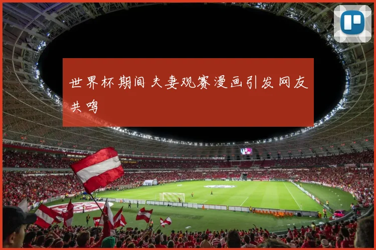 世界杯期间夫妻观赛漫画引发网友共鸣