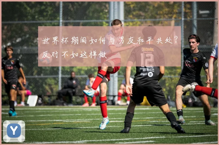 世界杯期间如何与男友和平共处？反对不如这样做