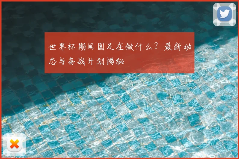 世界杯期间国足在做什么？最新动态与备战计划揭秘