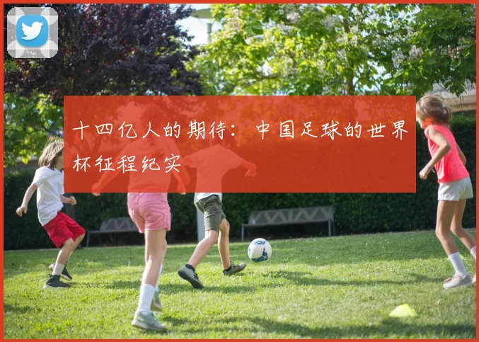 十四亿人的期待:中国足球的世界杯征程纪实