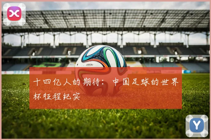 十四亿人的期待:中国足球的世界杯征程纪实