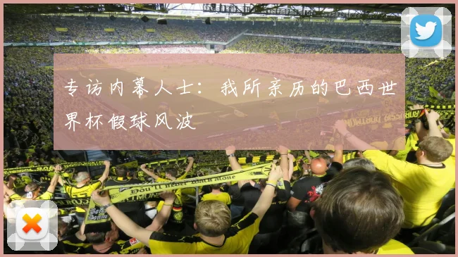 专访内幕人士：我所亲历的巴西世界杯假球风波