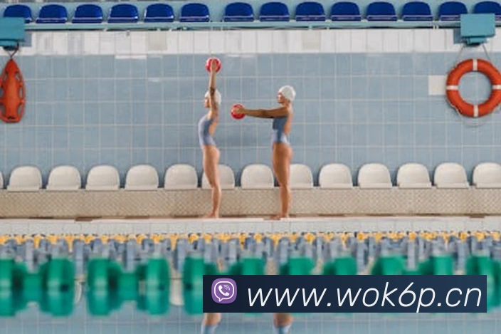 leyu乐鱼网页版登录入口发展历程